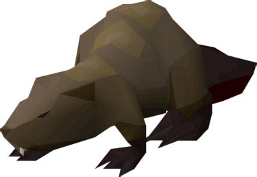 osrs best chance for beaver.